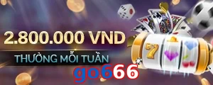 go666