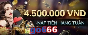 go666