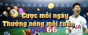go666